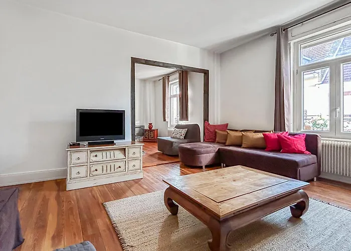 Apartment Lumineux & Elegant Centre Straßburg